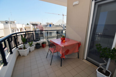 DSC_0039 copia