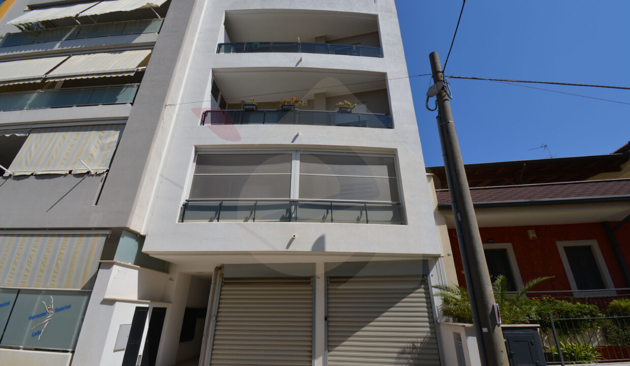 DSC_0049 copia